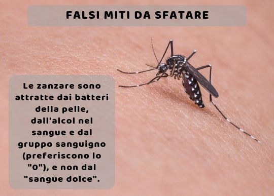 Miti Zanzare.jpg